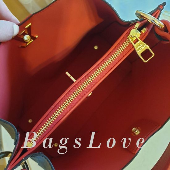 Женская сумка Louis Vuitton (Луи Виттон) B106461