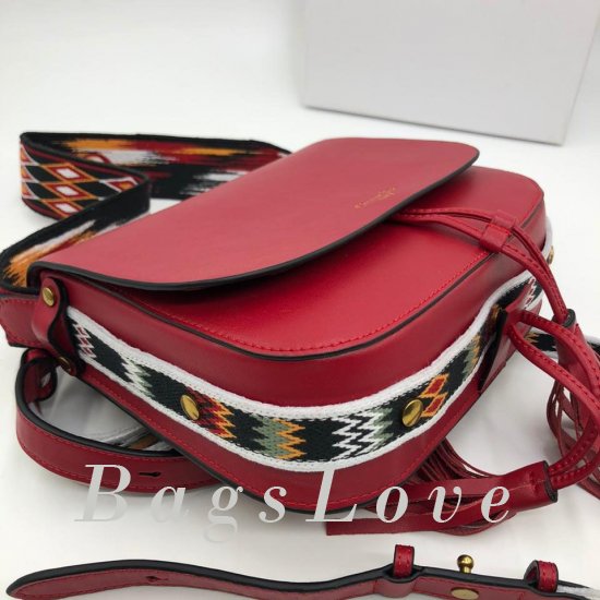 Женская сумка Christian Dior (Кристиан Диор) B106489