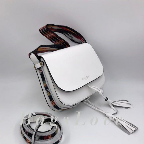 Женская сумка Christian Dior (Кристиан Диор) B106490