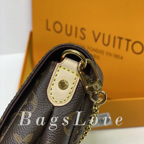 Женская сумка Louis Vuitton (Луи Виттон) BЭ1105731
