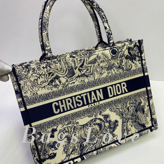 Женская сумка Christian Dior (Кристиан Диор) BЭ1105745