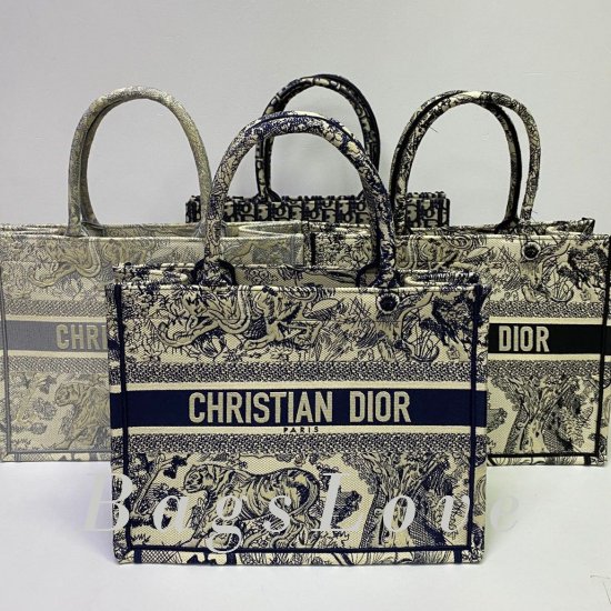Женская сумка Christian Dior (Кристиан Диор) BЭ1105745