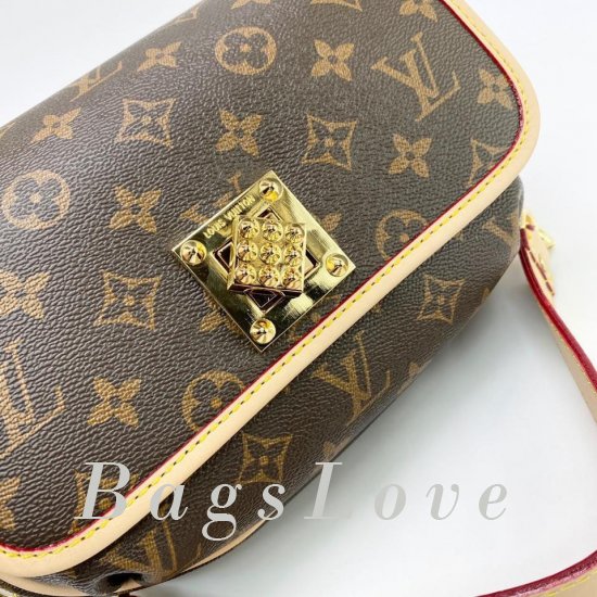 Женская сумка Louis Vuitton (Луи Виттон) B106637