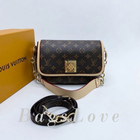Женская сумка Louis Vuitton (Луи Виттон) B106637