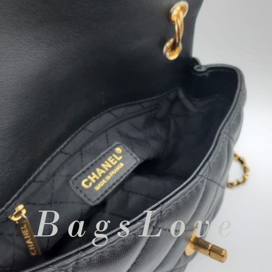 Женская сумка Chanel (Шанель) B106659