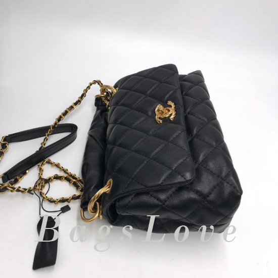 Женская сумка Chanel (Шанель) B106659