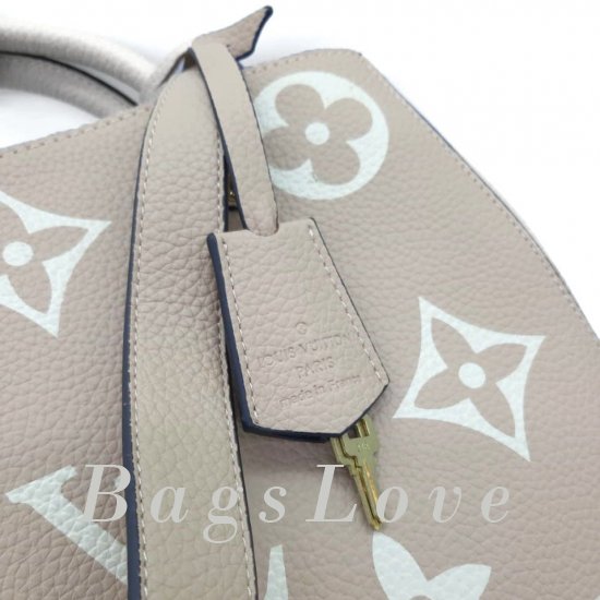 Женская сумка Louis Vuitton (Луи Виттон) B106663