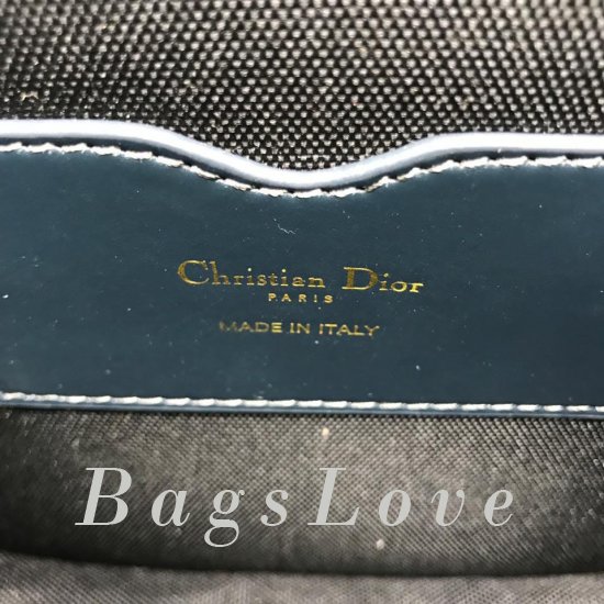Женская сумка Christian Dior (Кристиан Диор) B106678