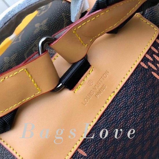 Женский рюкзак Louis Vuitton B106688