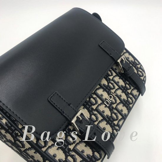 Женская сумка Christian Dior (Кристиан Диор) B106690