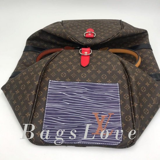 Женская сумка Louis Vuitton (Луи Виттон) B106718
