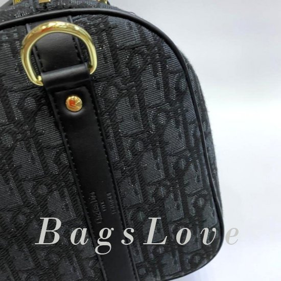 Женская сумка Christian Dior (Кристиан Диор) B106729