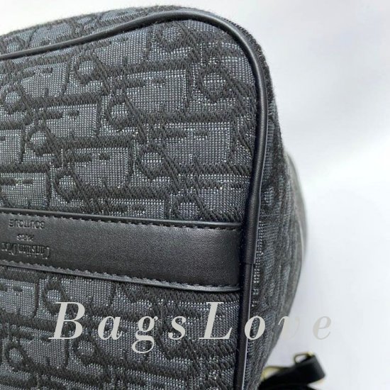 Женская сумка Christian Dior (Кристиан Диор) B106729