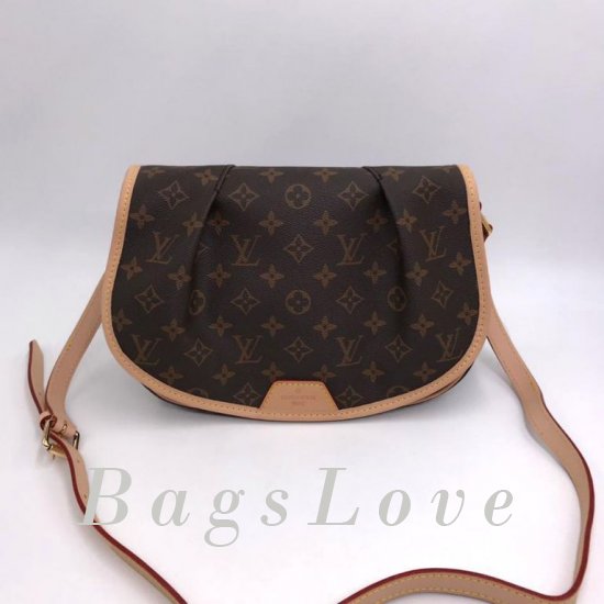 Женская сумка Louis Vuitton (Луи Виттон) B106730