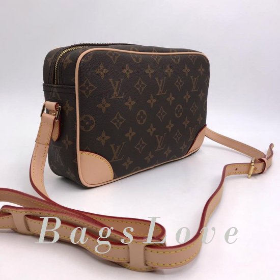 Женская сумка Louis Vuitton (Луи Виттон) B106733