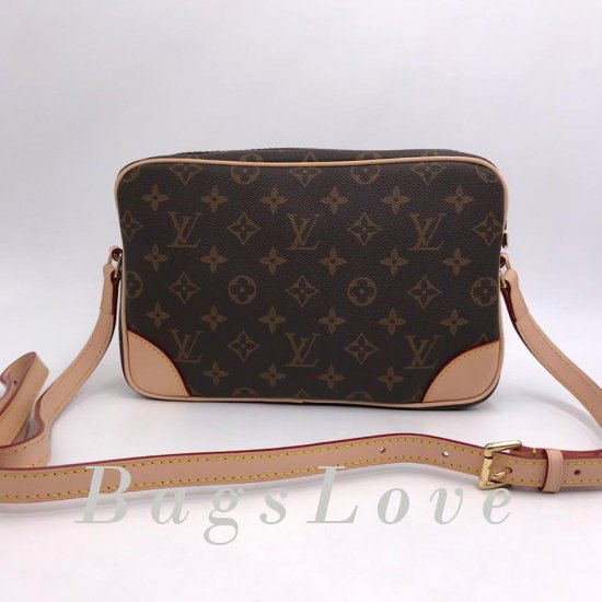 Женская сумка Louis Vuitton (Луи Виттон) B106733