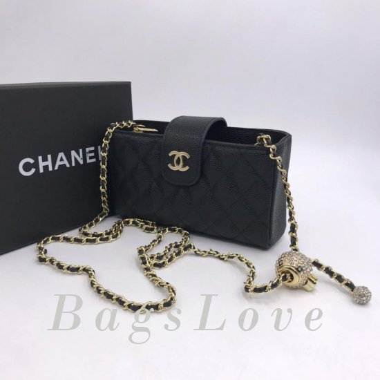 Женская сумка Chanel (Шанель) B106737