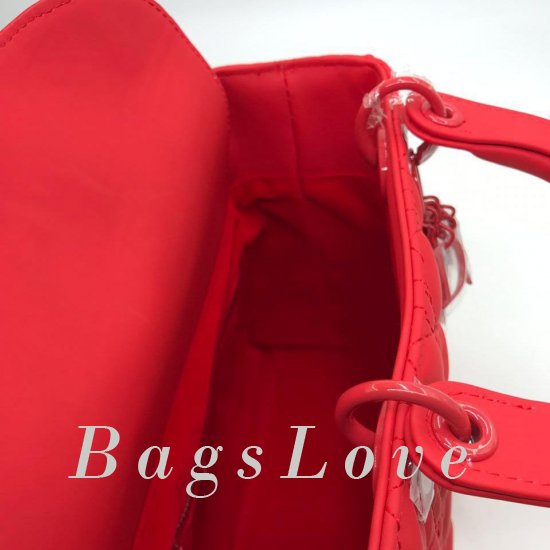 Женская сумка Christian Dior (Кристиан Диор) B106788