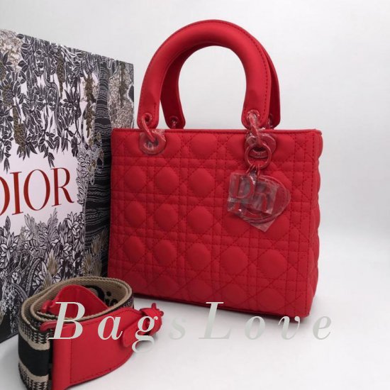 Женская сумка Christian Dior (Кристиан Диор) B106788