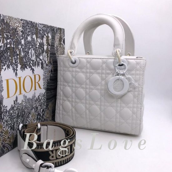 Женская сумка Christian Dior (Кристиан Диор) B106789