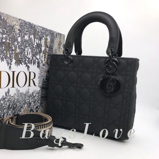 Женская сумка Christian Dior (Кристиан Диор) B106793