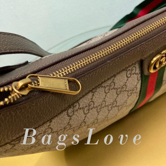 Женская сумка Gucci (Гуччи) B106830