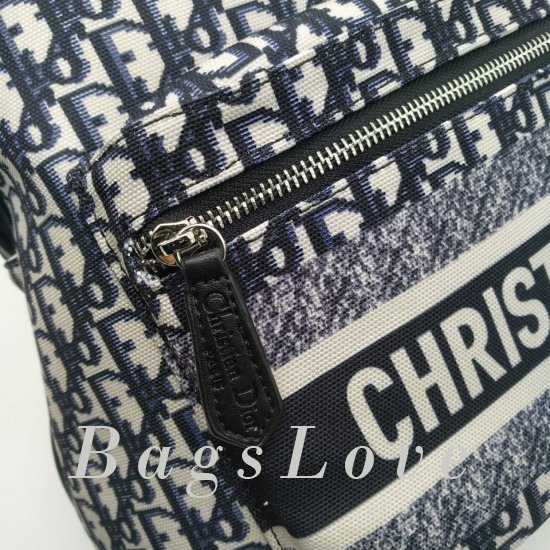 Женский рюкзак Christian Dior B106863