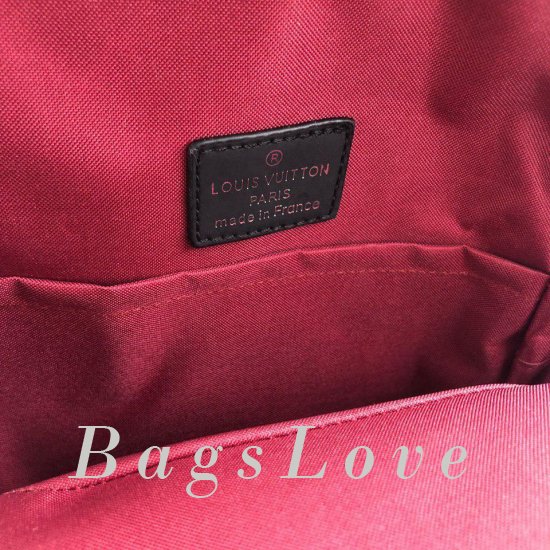 Женская сумка Louis Vuitton (Луи Виттон) Bbf0053