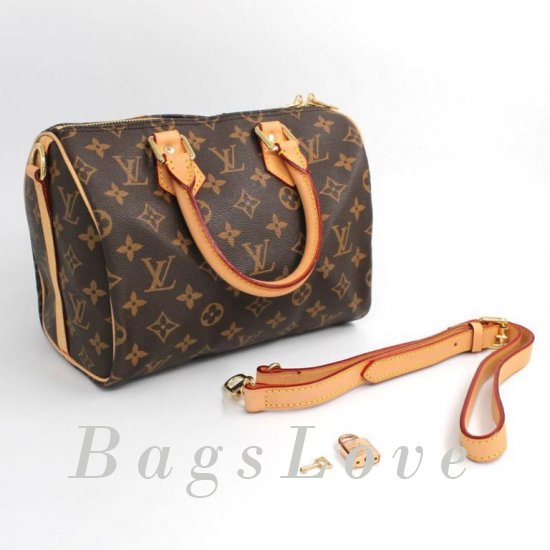Женская сумка Louis Vuitton (Луи Виттон) Bbf0055