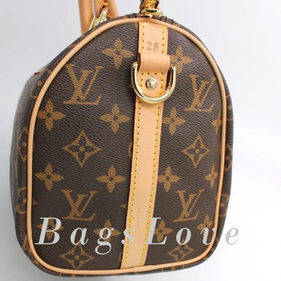 Женская сумка Louis Vuitton (Луи Виттон) Bbf0055