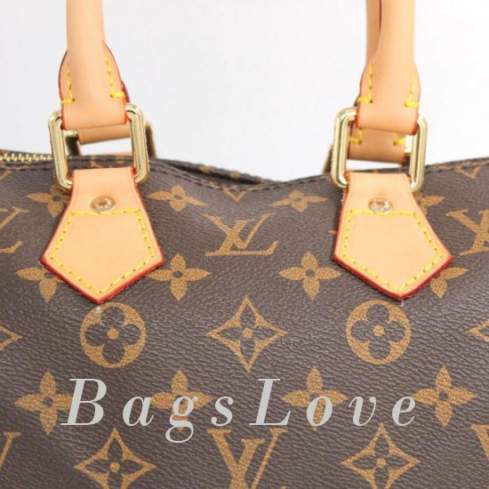 Женская сумка Louis Vuitton (Луи Виттон) Bbf0055