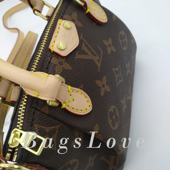 Женская сумка Louis Vuitton (Луи Виттон) B106970
