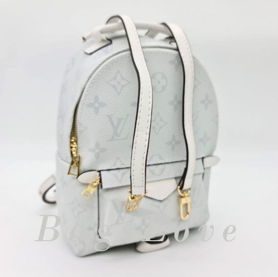 Женский рюкзак Louis Vuitton B107005