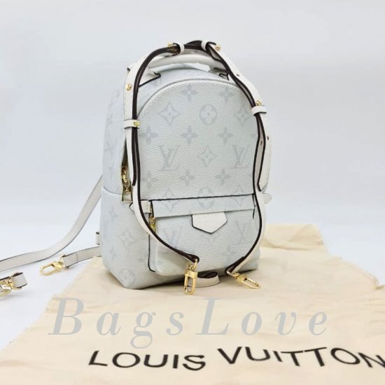 Женский рюкзак Louis Vuitton B107005