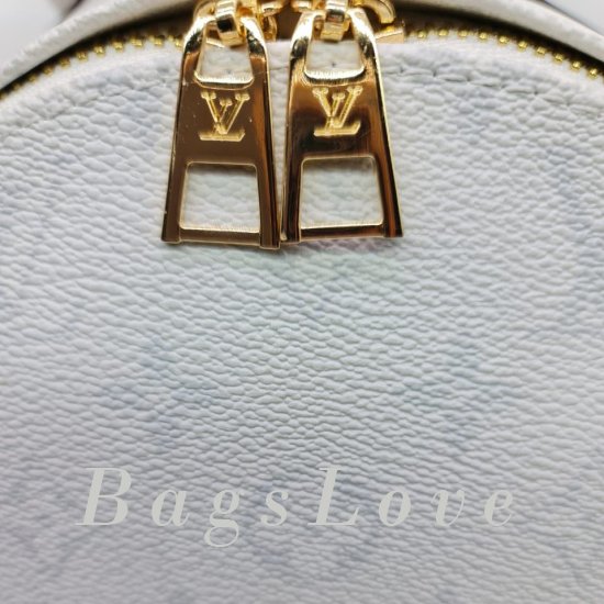 Женский рюкзак Louis Vuitton B107005