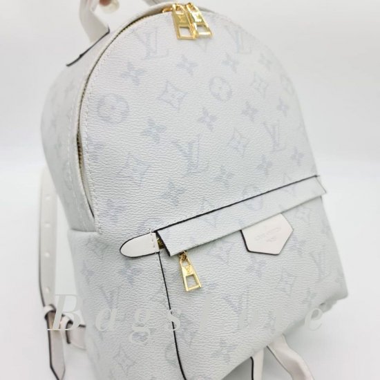 Женский рюкзак Louis Vuitton B107006