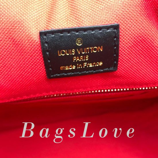Женская сумка Louis Vuitton (Луи Виттон) B107044