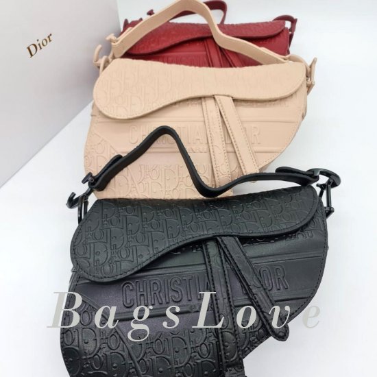 Женская сумка Christian Dior (Кристиан Диор) B107061