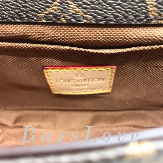 Женская сумка Louis Vuitton (Луи Виттон) B107138