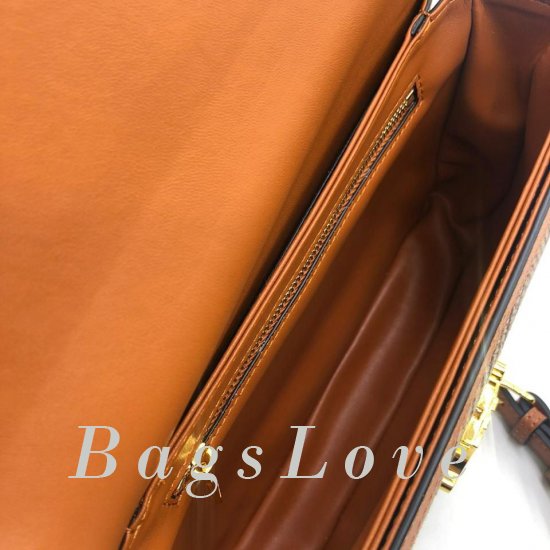 Женская сумка Celine B107212