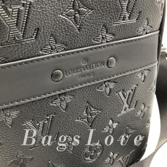 Женская сумка Louis Vuitton (Луи Виттон) B107227