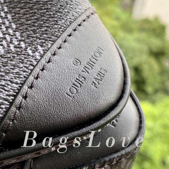 Женская сумка Louis Vuitton (Луи Виттон) B107233