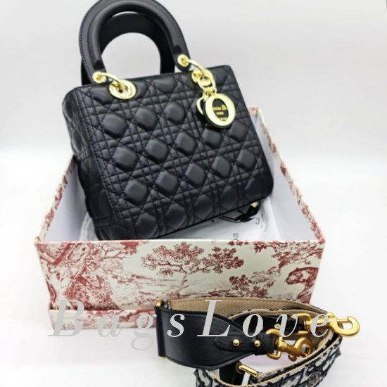 Женская сумка Christian Dior (Кристиан Диор) B107244