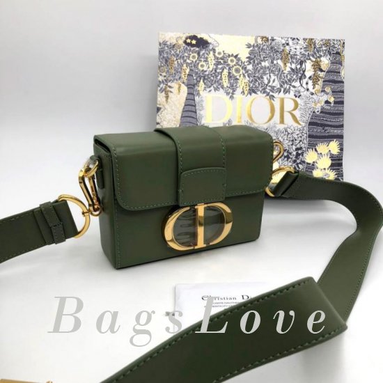 Женская сумка Christian Dior (Кристиан Диор) B107285