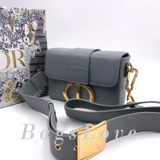 Женская сумка Christian Dior (Кристиан Диор) B107286