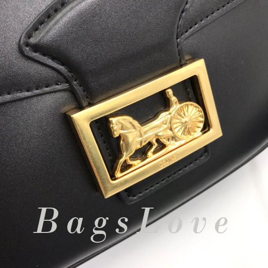 Клатч Celine B107303