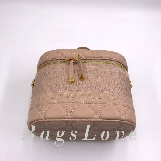 Женская сумка Christian Dior (Кристиан Диор) B107390