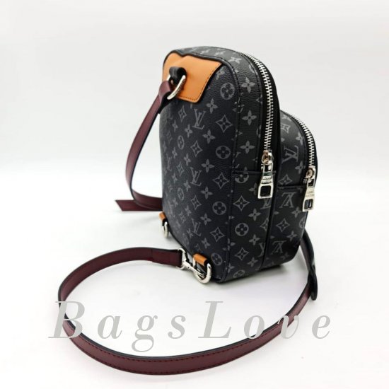 Женская сумка Louis Vuitton (Луи Виттон) B107479