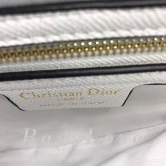 Женская сумка Christian Dior (Кристиан Диор) B107568