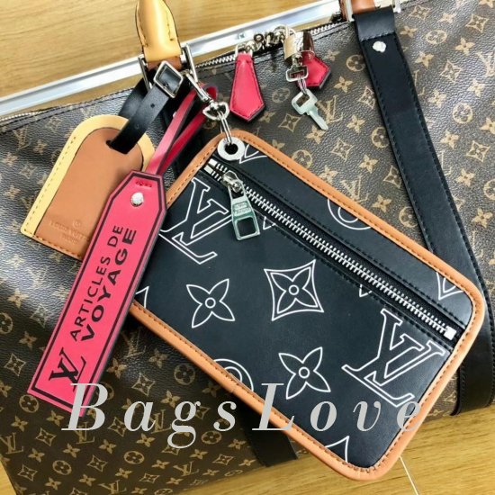 Женская сумка Louis Vuitton (Луи Виттон) B107573
